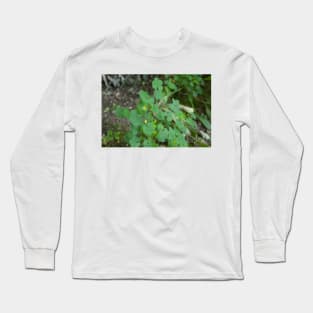 Clover leaves Long Sleeve T-Shirt